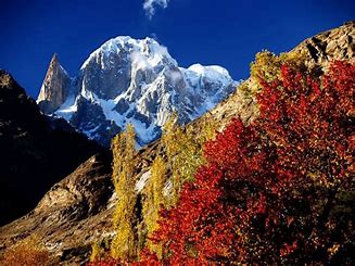 Base camp at Hunza Autumn Tour
